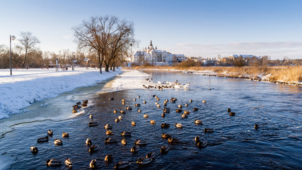Supraśl zimą © podlaski49