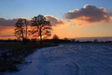 Kolorowy zachód słońca nad polami zimą.