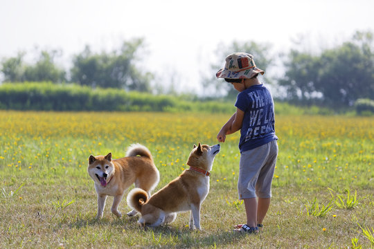 野原で遊ぶ子供
