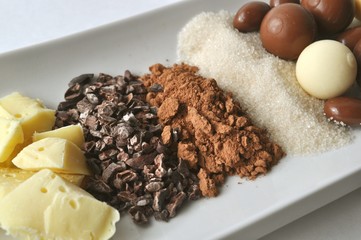 Close up of raw ingredients for making chocolate