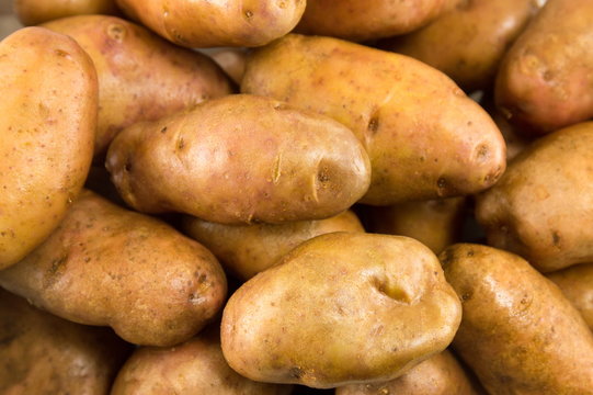 raw washed potatoes closeup