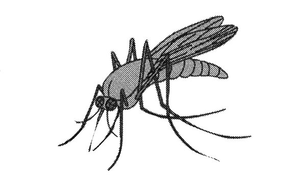 Mückensymbol