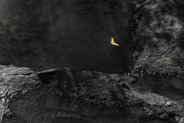 Yellow butterfly flying over a calm river and rocks in black and white
