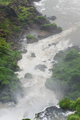 Small stream in the Iguazu national park in Argentina with lots of fog