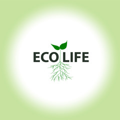 eco life