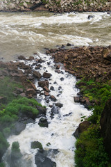 Small stream in the Iguazu national park in Argentina