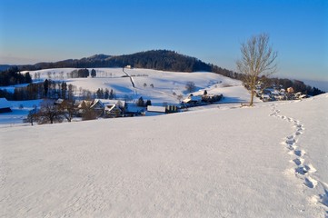 Schnee auf dem Albis Pass im Winter mit Blick auf den Uetliberg, Hausberg von Zürich, Schweiz