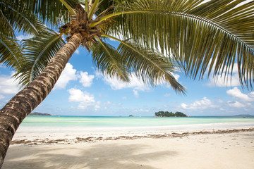 Fototapeta na wymiar Beach view on the island of Praslin, Seychelles.