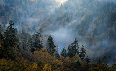 Smoky Mountain Fog - obrazy, fototapety, plakaty