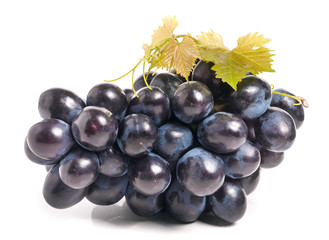 bunch of blue grapes with leaf isolated on white background