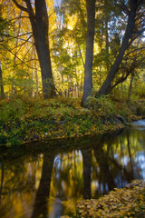 Reflejos de oto&ntilde;o