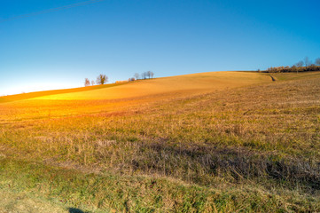 expanse of green grass with blue sky, countryside and farm