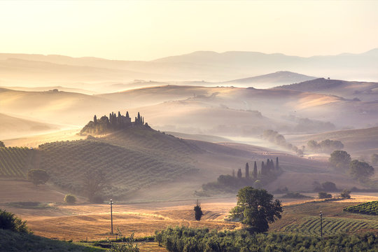 Tuscany landscape at sunrise.. Tuscan farm house, vineyard, hills and meadows - Italy