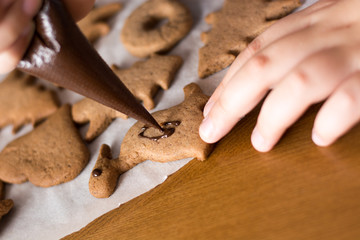 Boy decorating gingerbread cookies with chocolate
