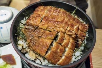 Delicious Japanese style Grill Eel fish rice