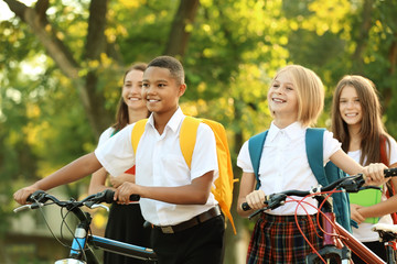 Obraz premium Teenagers with bicycles walking in park