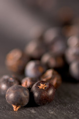 juniper berries