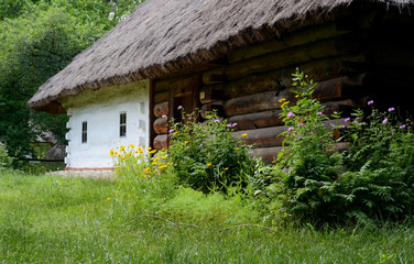 Fototapeta na wymiar Traditional Ukrainian rural house summertime at the Museum of Pirogovo. Ukraine