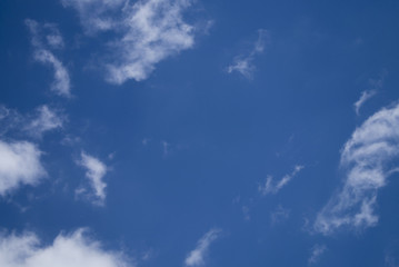 cielo