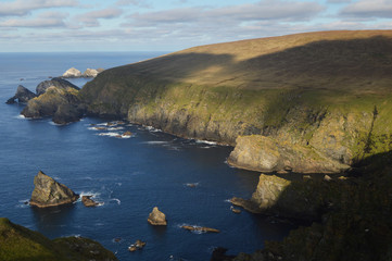 Fototapeta premium Cliffs and ocean at Hermaness national reserve on the island of Unst