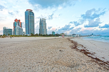 Landscape Scene South Beach Miami Florida