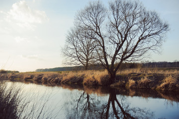 evening scene on river