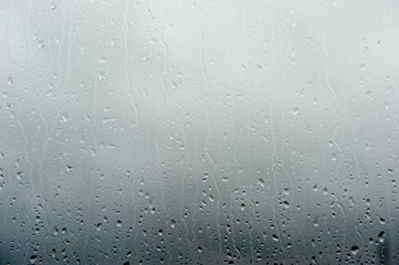 Drops of rain on the window