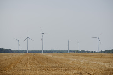 Windturbine at sunny day