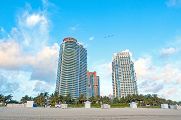 Three Pelicans Flying Above Miami Beach Hotels at Dawn