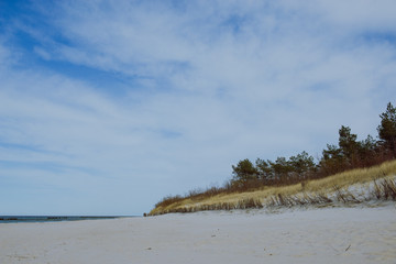 sunny beach with sand dunes