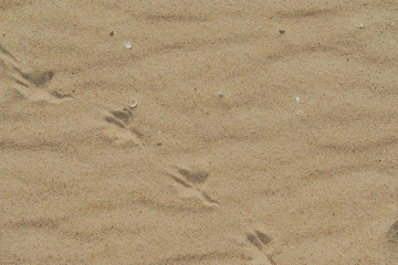 closeup of sand pattern of a beach in the summer