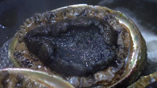 焼きあわび