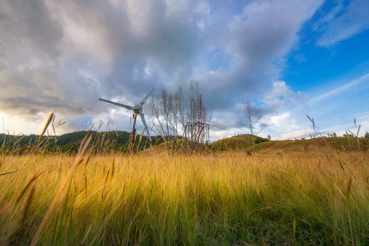 Green mountain grass hill in south of Thailand