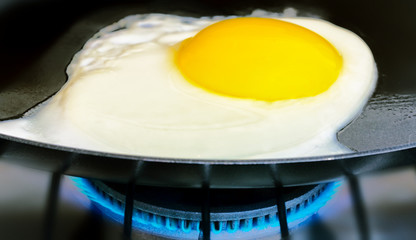 fried eggs