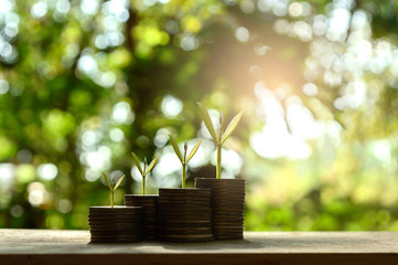 silver coin stack and tree in concept of growth business backgro