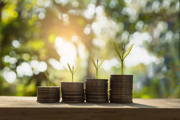 silver coin stack and tree in concept of growth business backgro