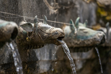 Wall Fountain at sacred Muktinath temple in Annapurna Region in Nepal. Jwala Mai of Muktinath.