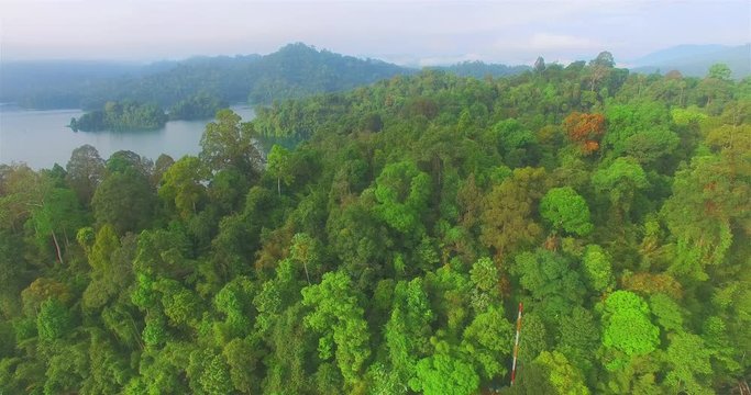 aerial photography above the perfect forest inside
 Rajjaprabha Dam in Kho Sok national park.
