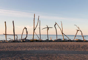 driftwood on Hokitika beach in New Zealand