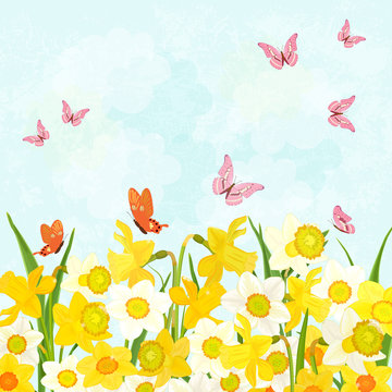 field of blooming daffodils with flying butterflies for your des