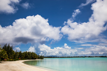 Bora Bora, Beach, Palms, Sea and Sand - 132558714
