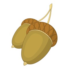 Acorns icon, cartoon style