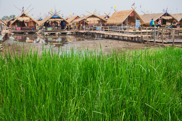 Fototapeta premium Nong Khai, Thailand, Clump of grass area Rafting
