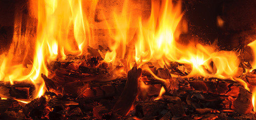 Firewood beautifully lit in the fireplace