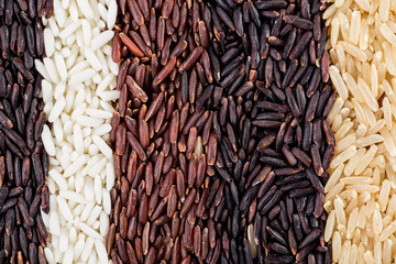 Rice berries, jasmine rice, brown nose, pile of unmilled rice grains, rice, and five species closeup