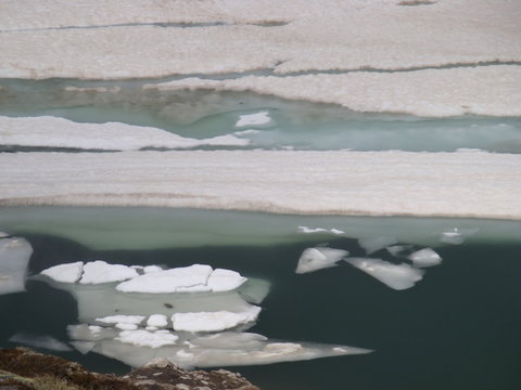 eissee