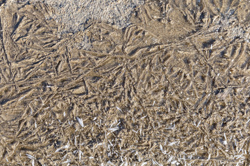 Sand and mud frozen under a layer of ice forming abstract shapes