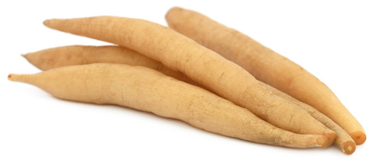 Medicinal Shatavari of Indian subcontinent