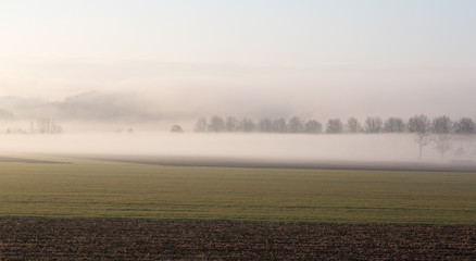 Brouillard d'hiver