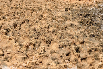 Limestone background close up.